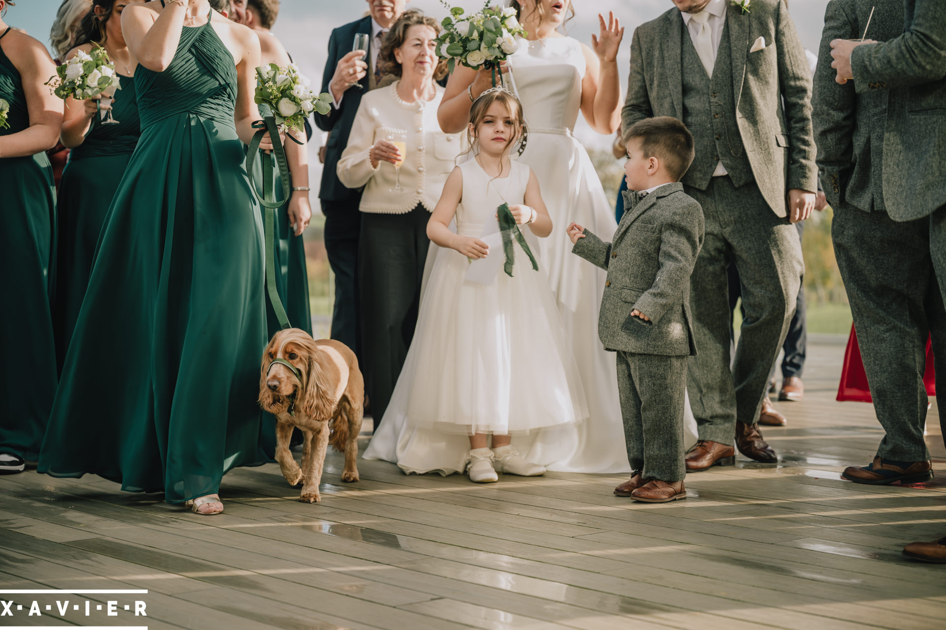 wedding dog with flower girl and paige boy