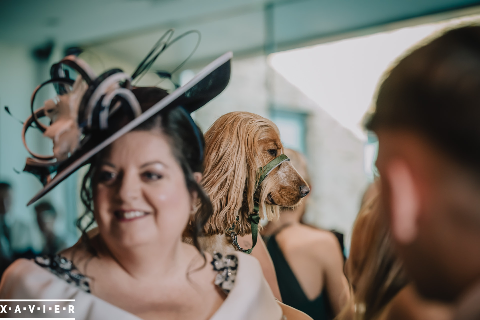 wedding dog blends into the reception